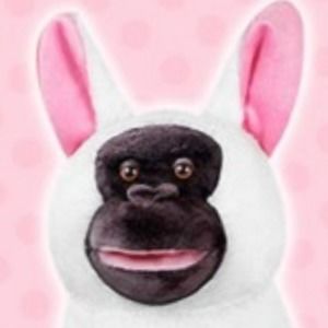 Meet your Posher, Albert